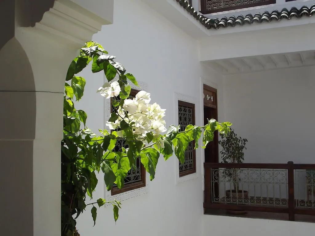 Riad Les Bougainvilliers Marrakesch