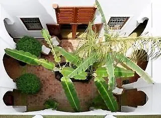 Riad Les Bougainvilliers Marakeş